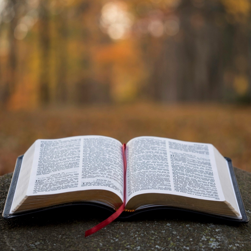 Bible
